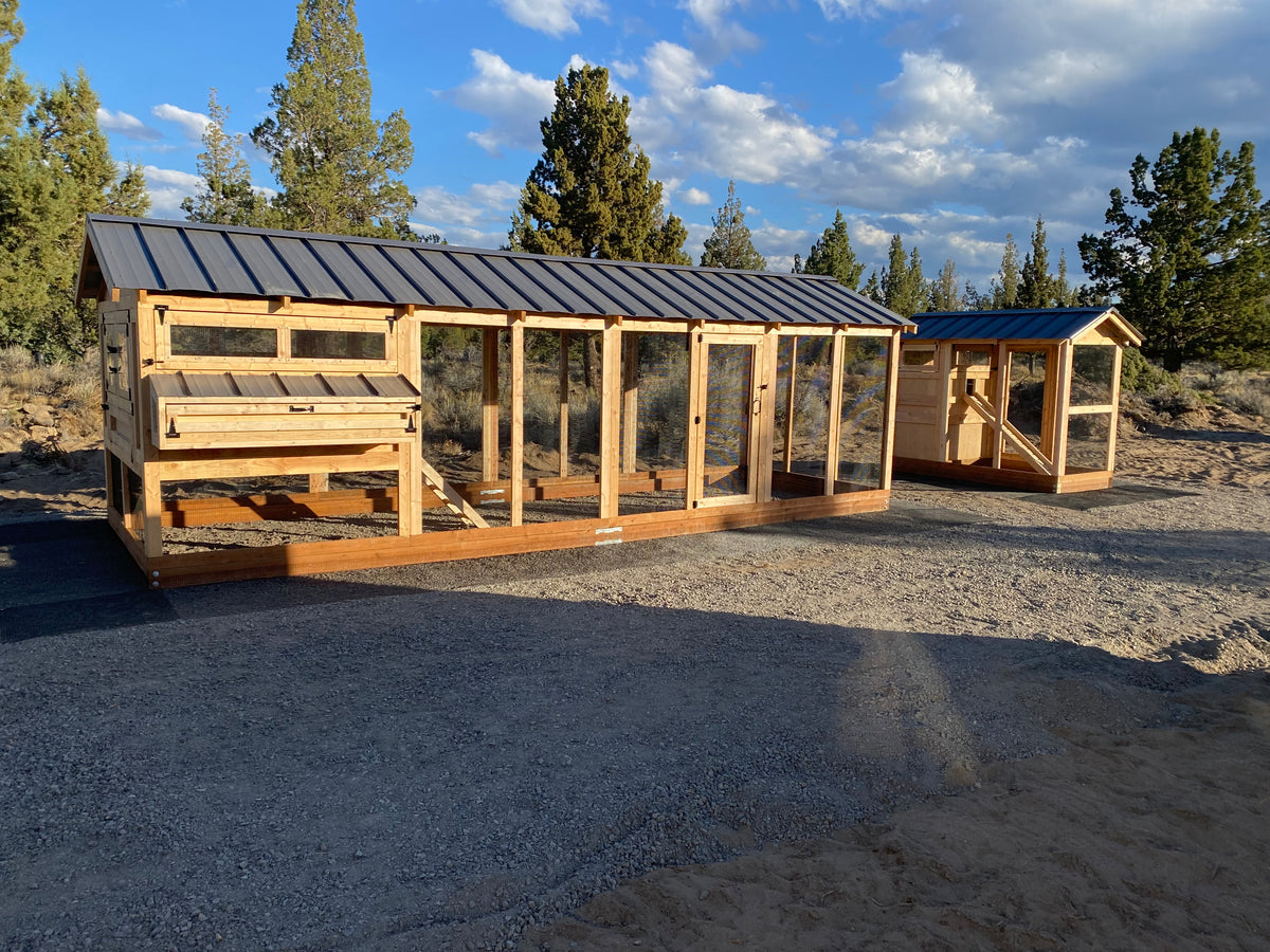 Walk-In Chicken Coop 8' Wide | Handcrafted Coop Washington
