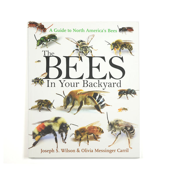 Bees in Your Backyard