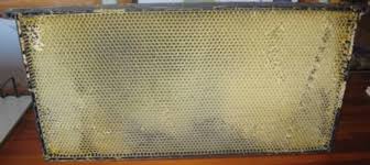 Deep Drawn Comb Frame