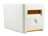Mini-Mating Nucs