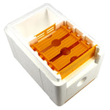 Mini-Mating Nucs