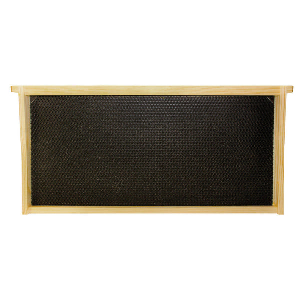 9 1/8" Assembled Frames with Waxed Rite-Cell Foundation, Single