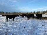 1/2 Beef - DEPOSIT
