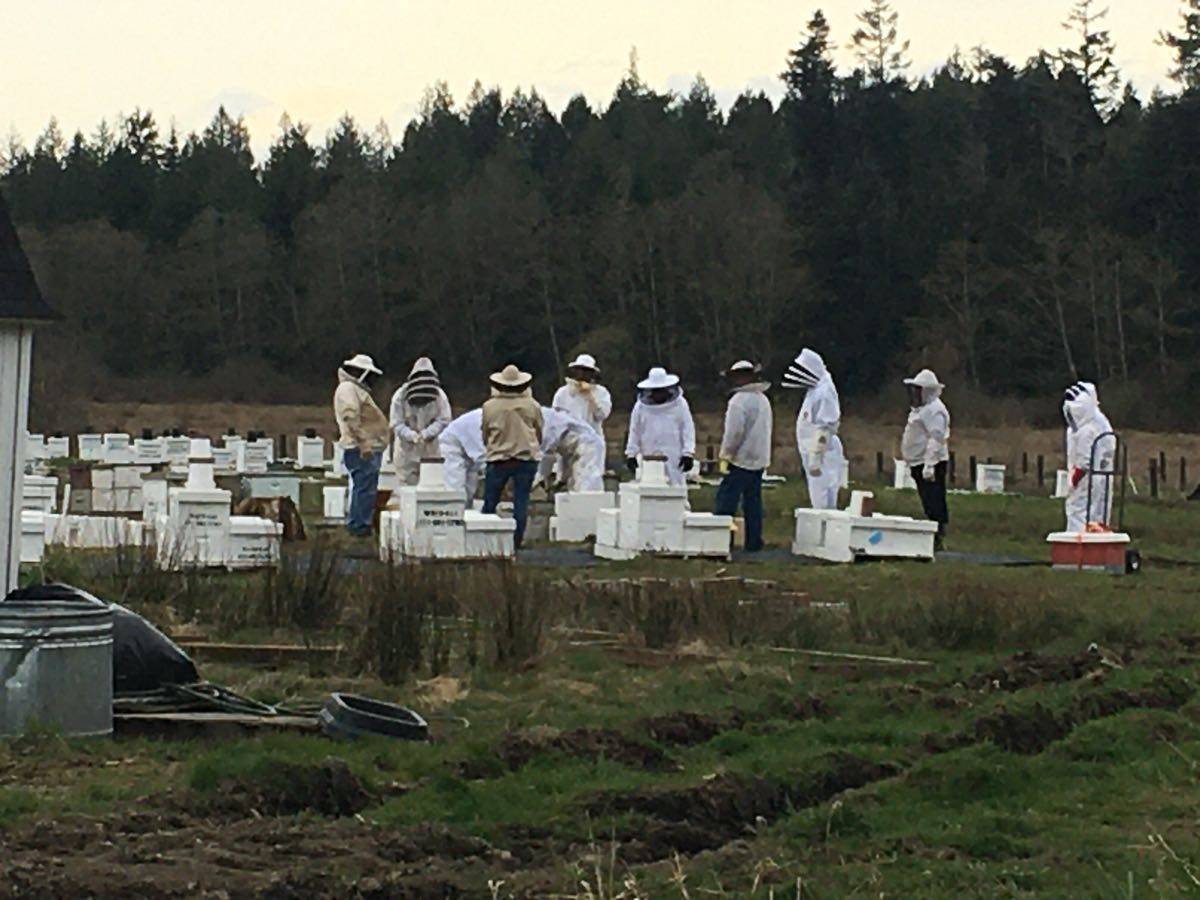 Beekeepers working in the apiary