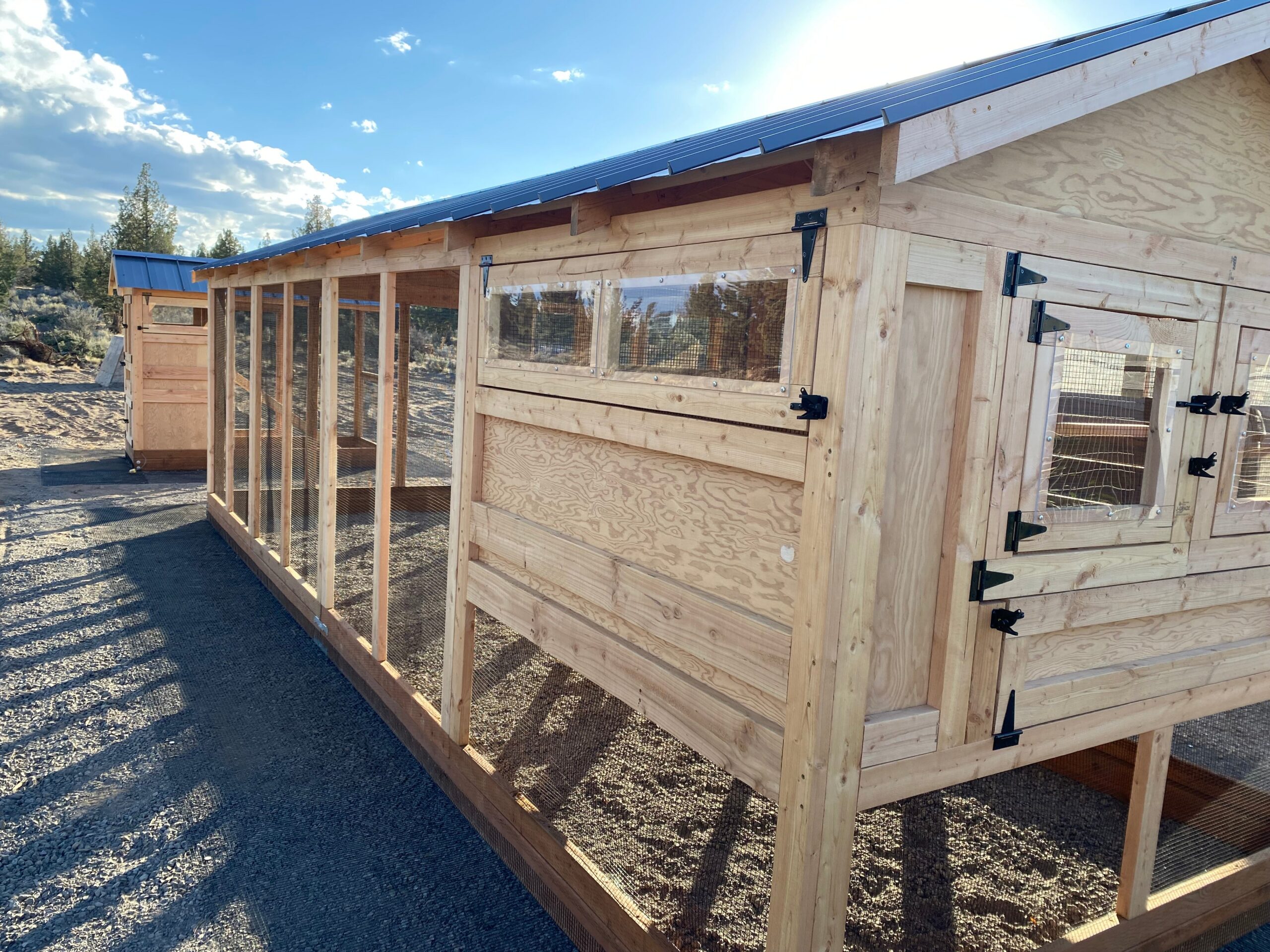 Large Walk-In Chicken Coop 8’ Wide – Premium Custom Built | Washington - Image 2