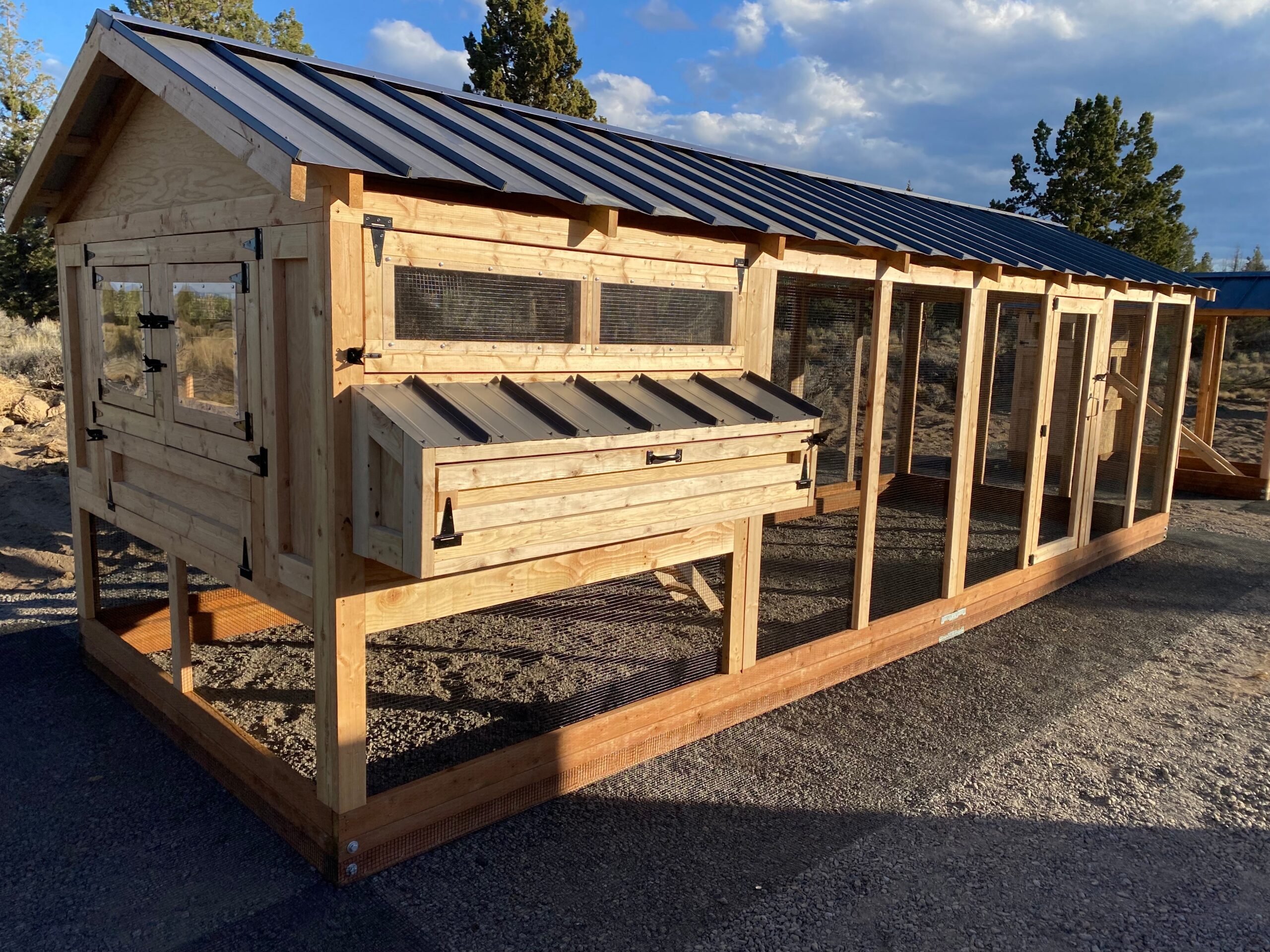 Large Walk-In Chicken Coop 8’ Wide – Premium Custom Built | Washington - Image 11