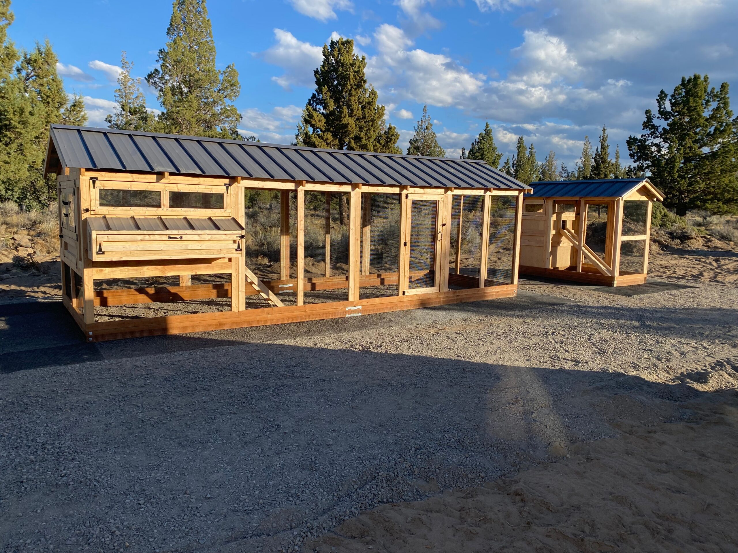 Large Walk-In Chicken Coop 8’ Wide – Premium Custom Built | Washington