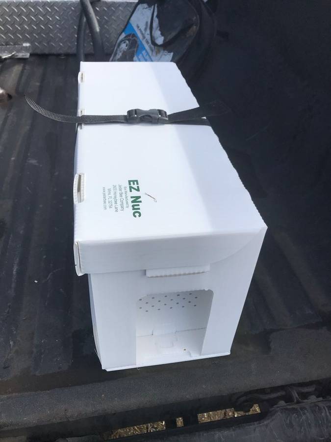 2027 - 5 Frame Honey Bee Nuc - 2026/2027 Queen - Image 7