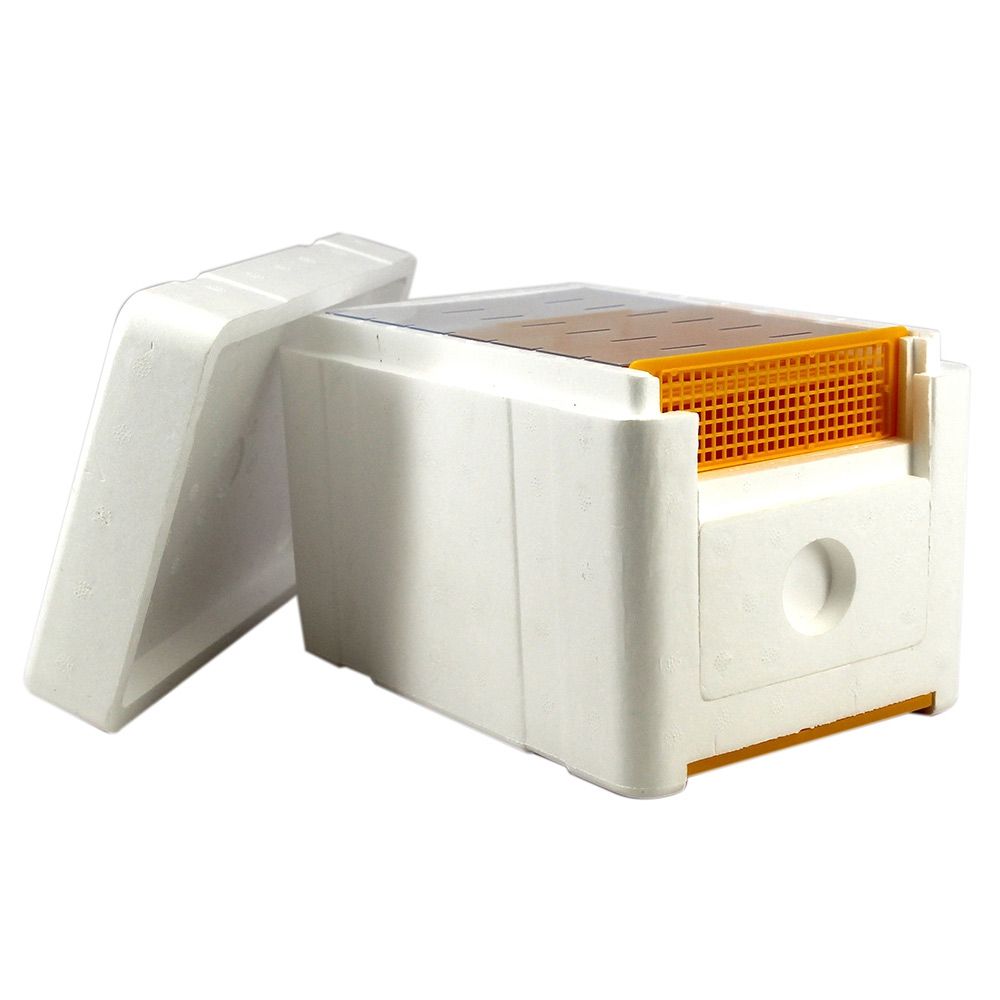 Mini-Mating Nucs - Image 3