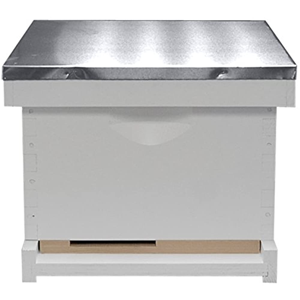 Traditional Complete Hive Kit, 10 Frame - Image 2