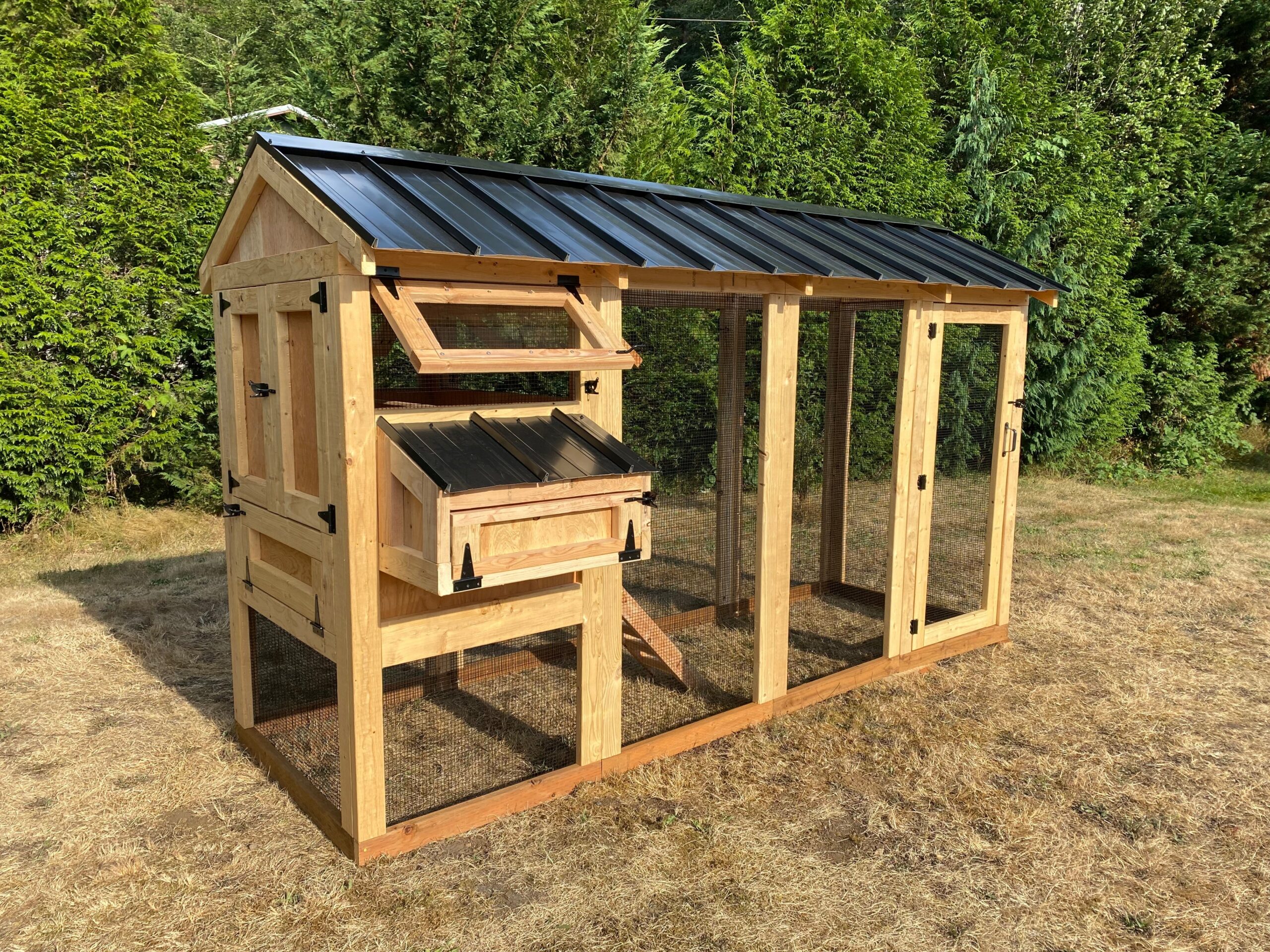 Walk-In Chicken Coop 4’ Wide – Built On Site | Douglas Fir Frame | Washington - Image 4