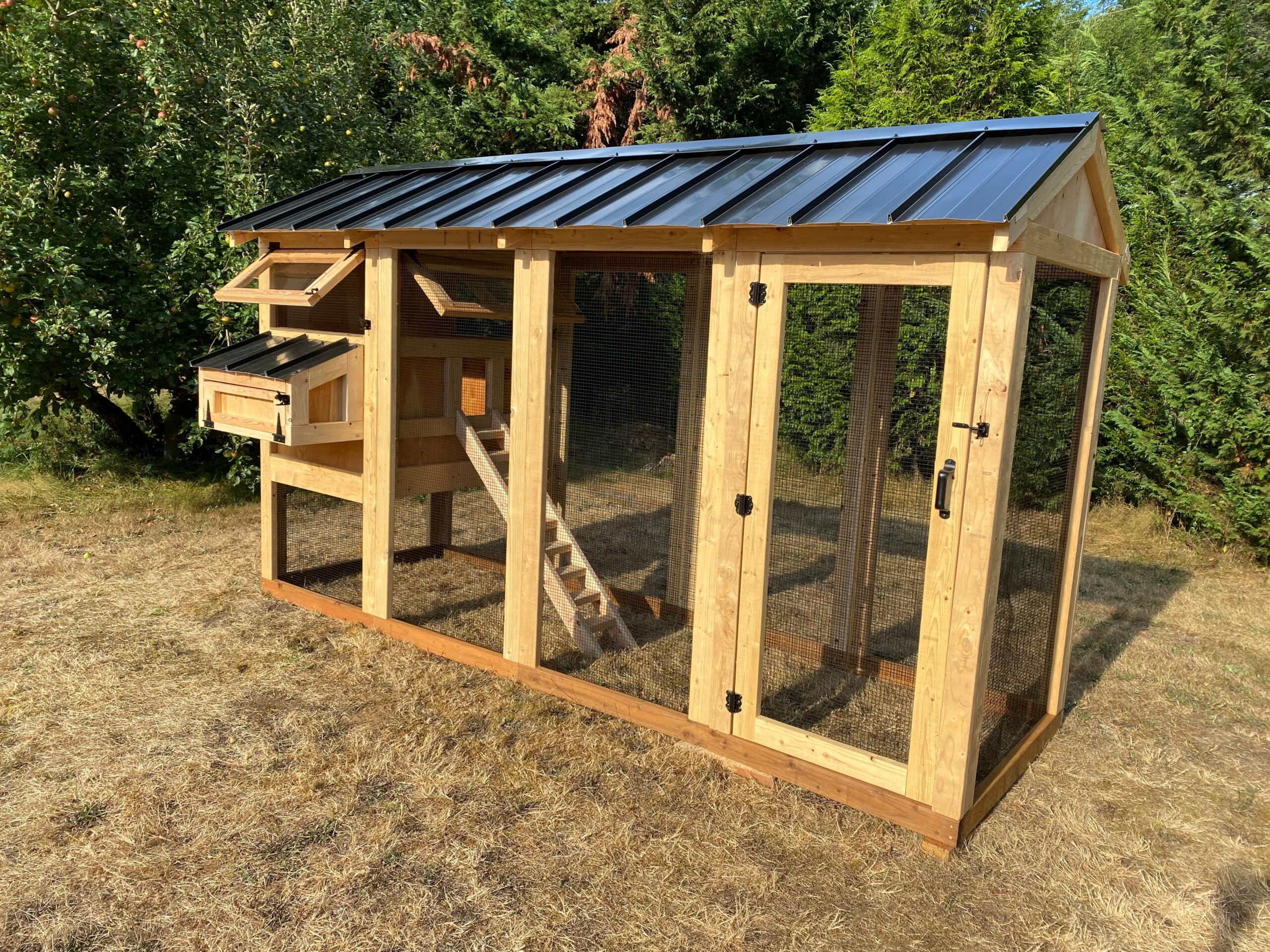 Walk-In Chicken Coop 4’ Wide – Built On Site | Douglas Fir Frame | Washington - Image 7