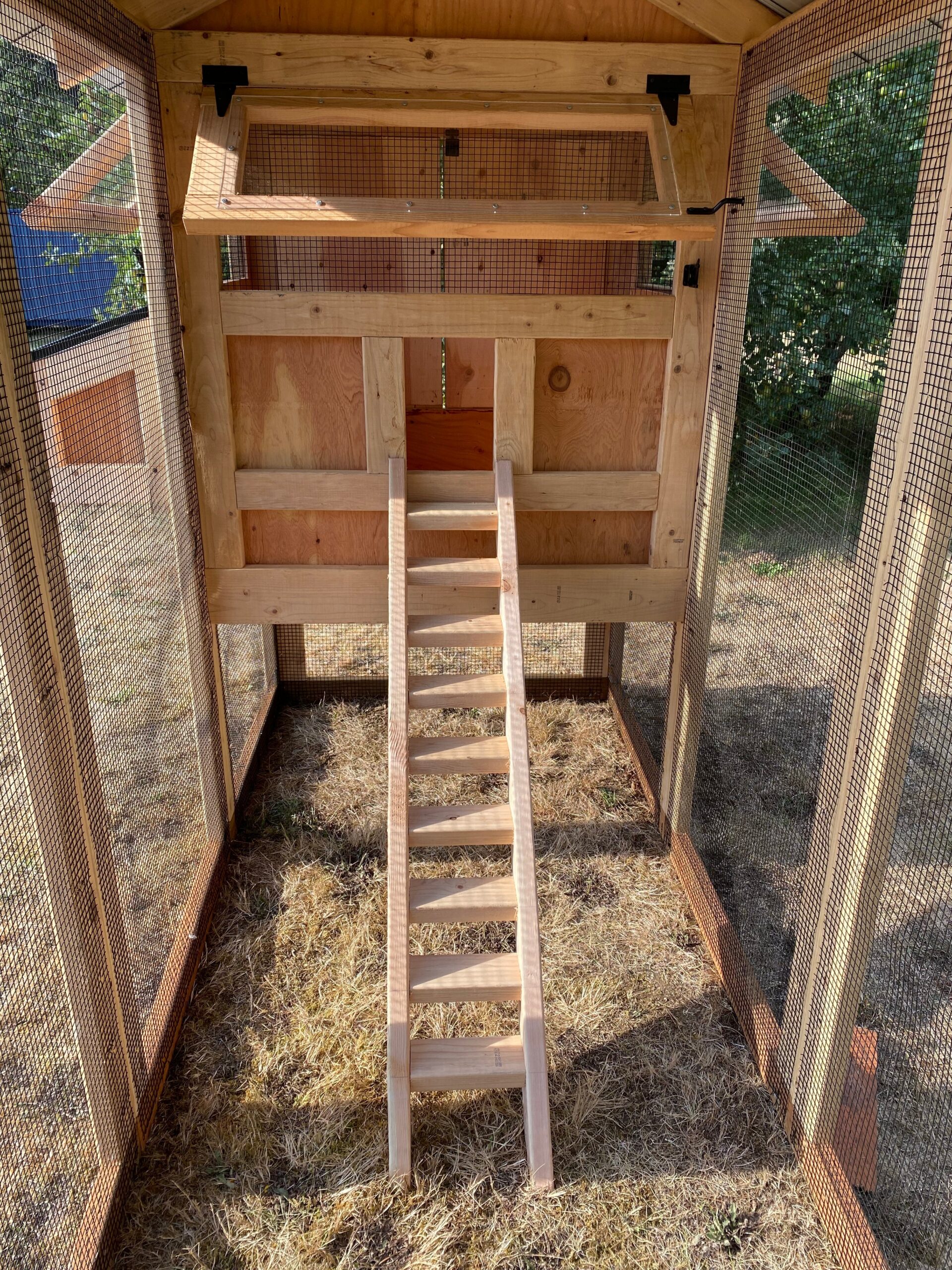 Walk-In Chicken Coop 4’ Wide – Built On Site | Douglas Fir Frame | Washington - Image 8