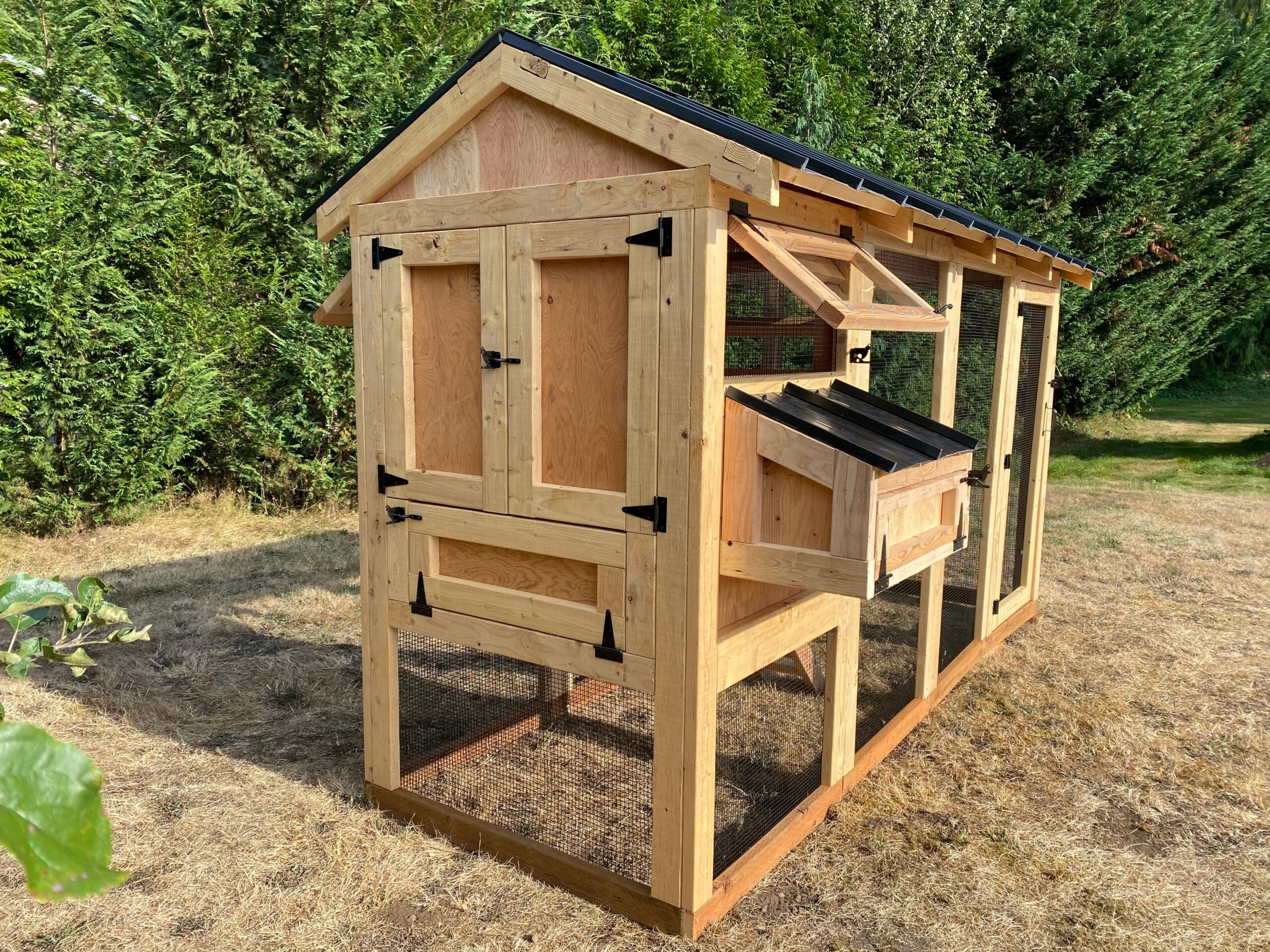 Walk-In Chicken Coop 4’ Wide – Built On Site | Douglas Fir Frame | Washington - Image 5