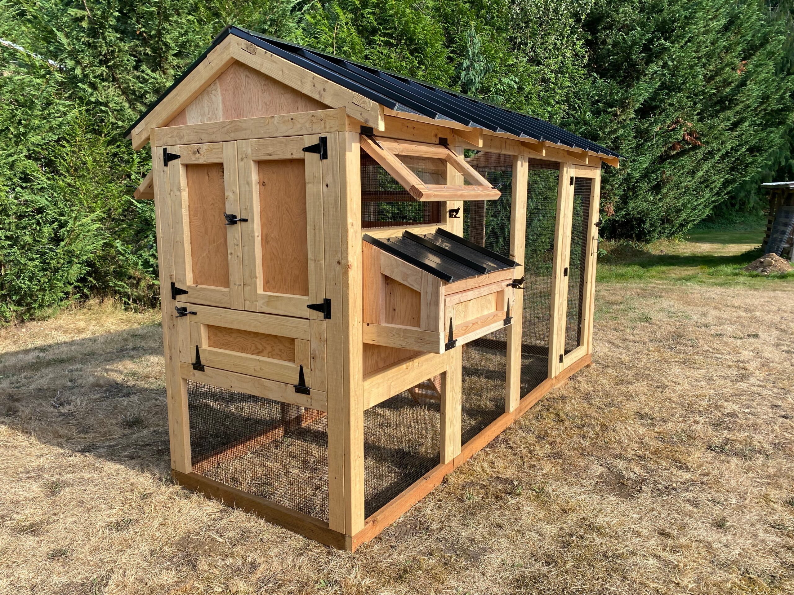 Walk-In Chicken Coop 4’ Wide – Built On Site | Douglas Fir Frame | Washington - Image 6