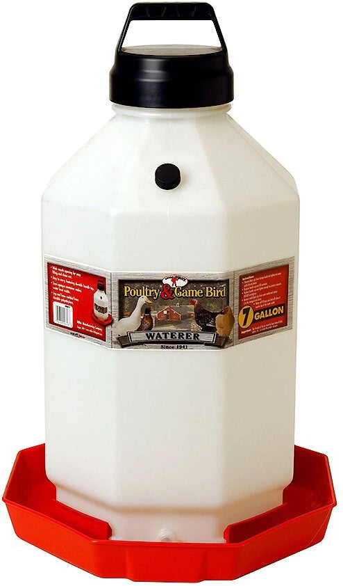 Little Giant Plastic Poultry Fount - Image 3