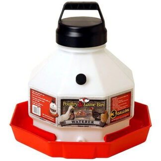 Little Giant Plastic Poultry Fount