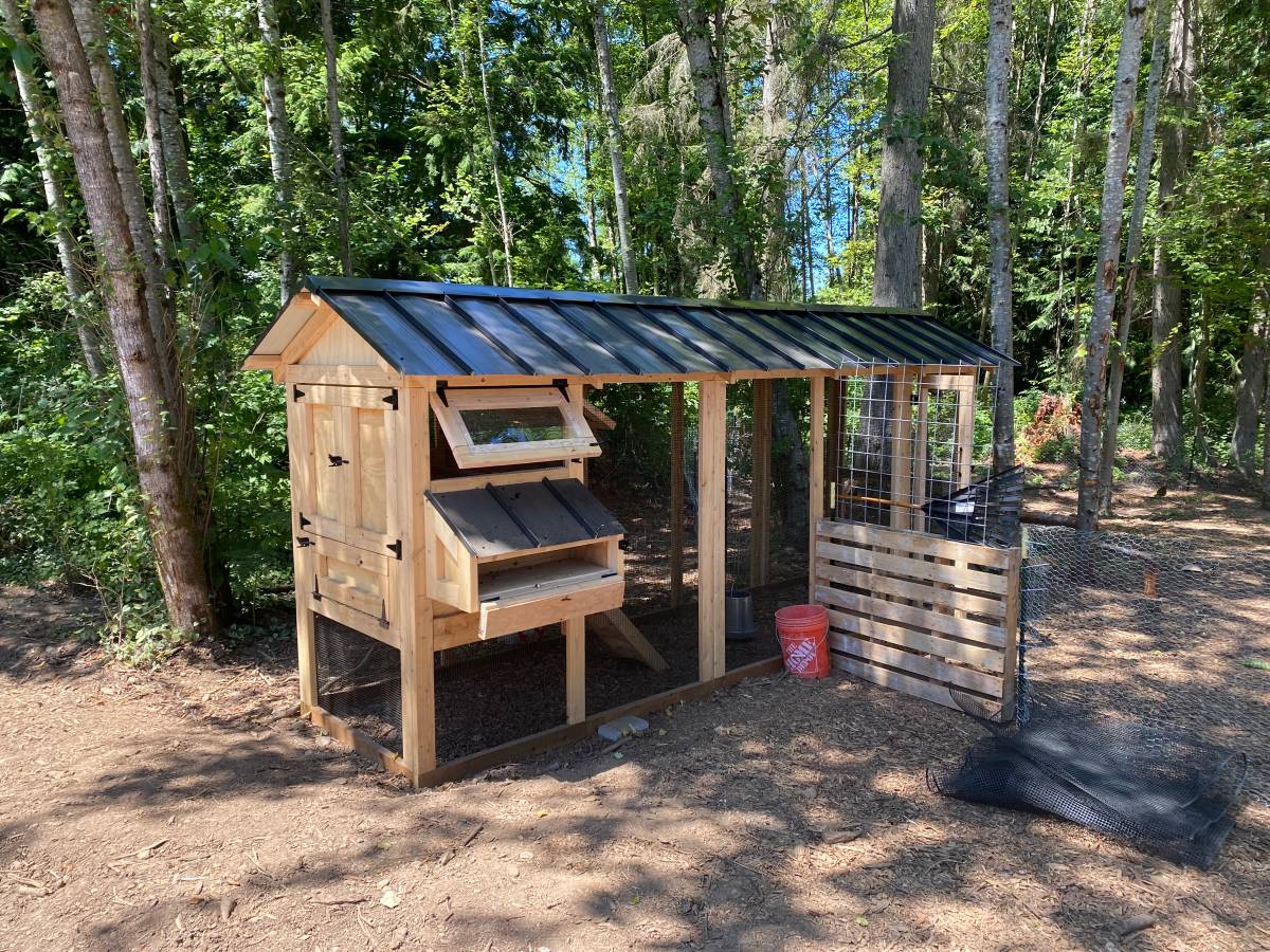 Walk-In Chicken Coop 4’ Wide – Built On Site | Douglas Fir Frame | Washington - Image 16