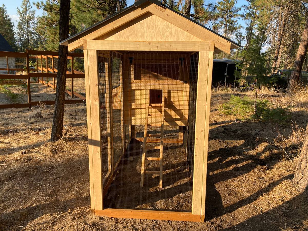 Walk-In Chicken Coop 4’ Wide – Built On Site | Douglas Fir Frame | Washington - Image 17