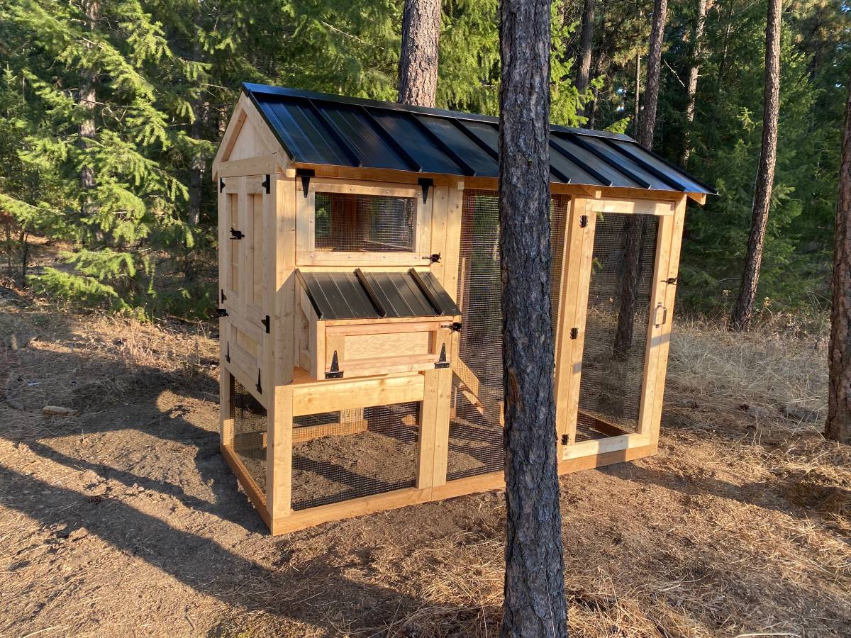 Walk-In Chicken Coop 4’ Wide – Built On Site | Douglas Fir Frame | Washington - Image 18