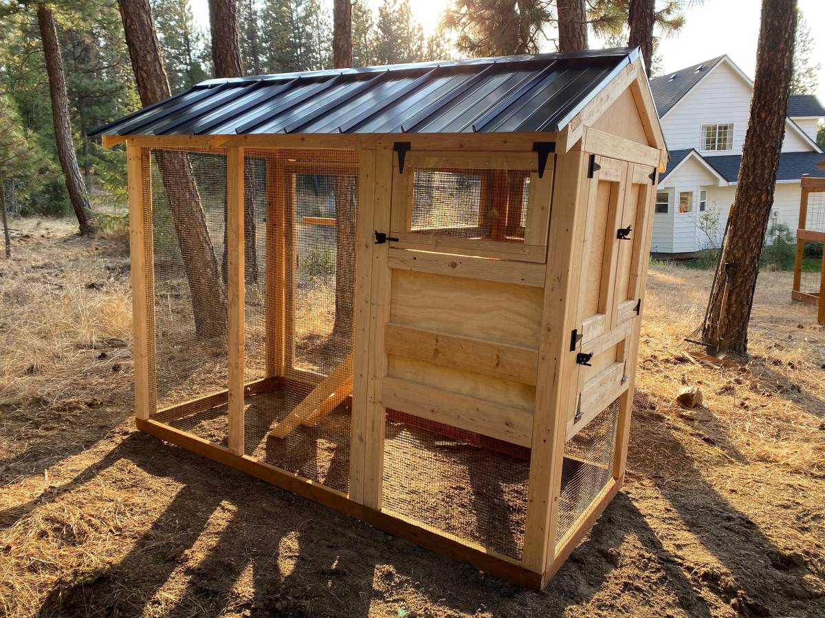 Walk-In Chicken Coop 4’ Wide – Built On Site | Douglas Fir Frame | Washington - Image 19
