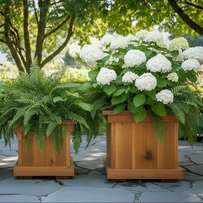 Planter Boxes