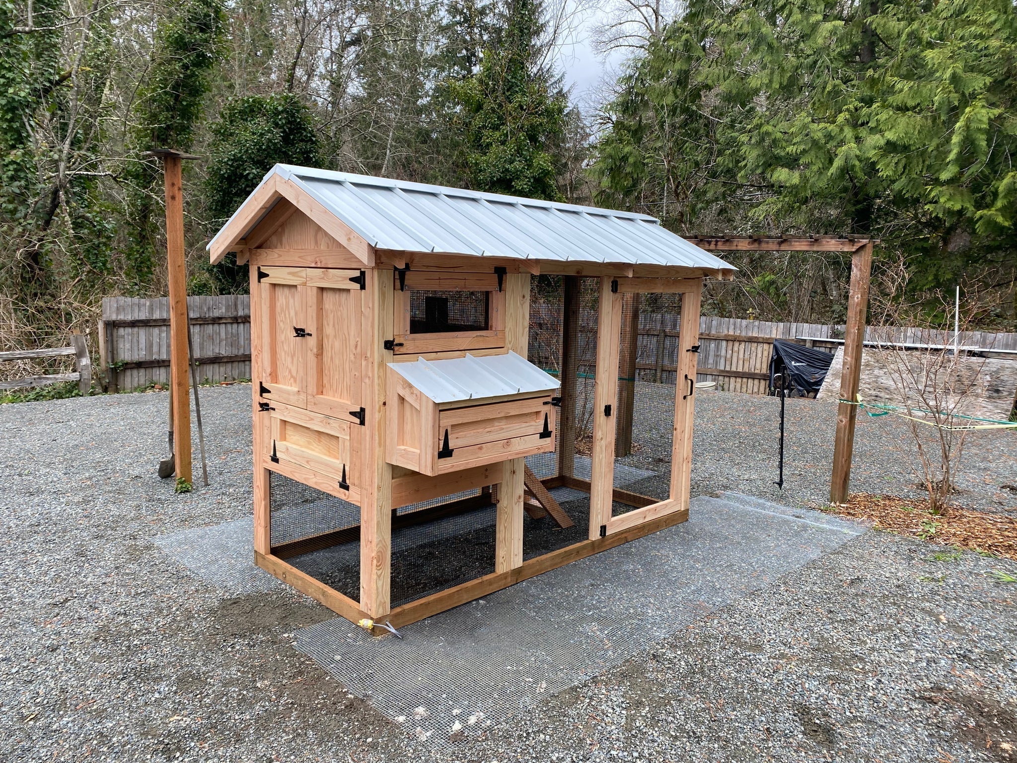 Walk-In Chicken Coop 4’ Wide – Built On Site | Douglas Fir Frame | Washington - Image 2