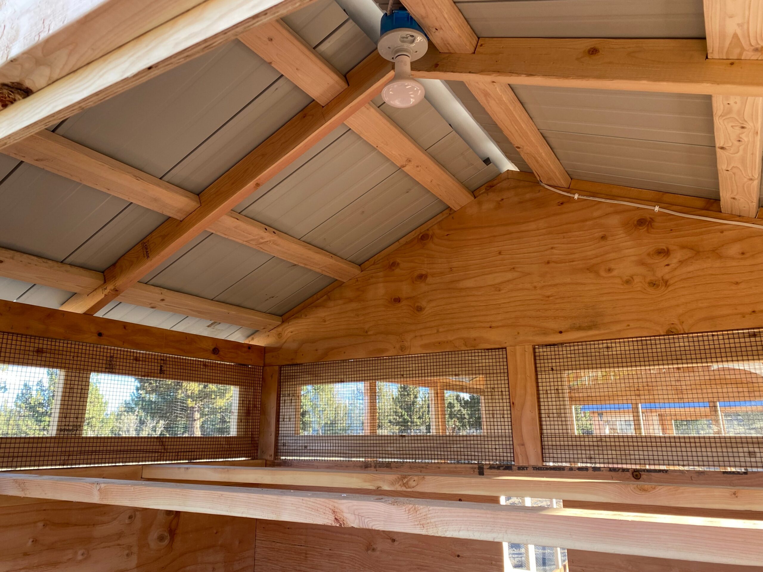 Large Walk-In Chicken Coop 8’ Wide – Premium Custom Built | Washington - Image 5