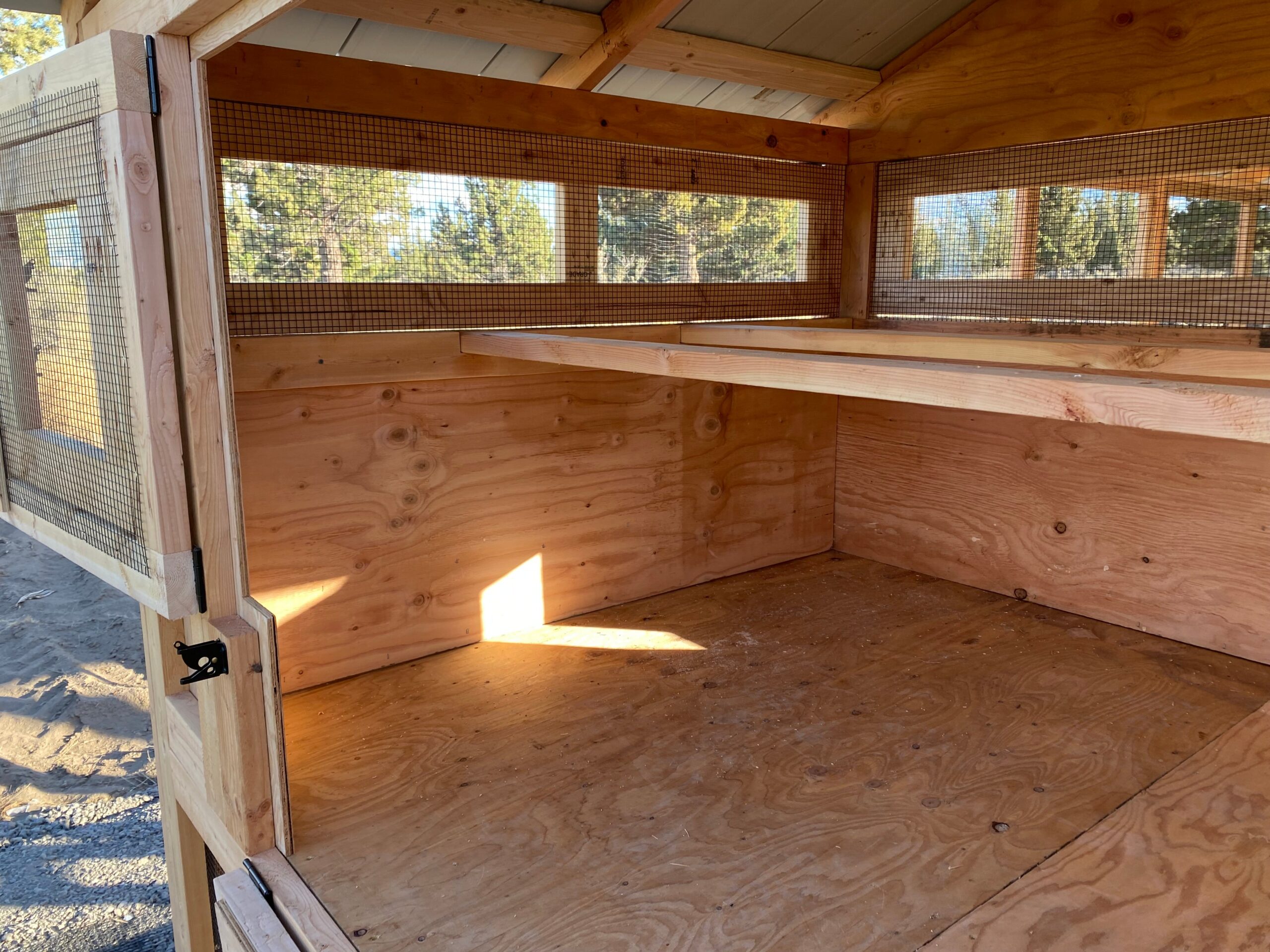 Large Walk-In Chicken Coop 8’ Wide – Premium Custom Built | Washington - Image 4