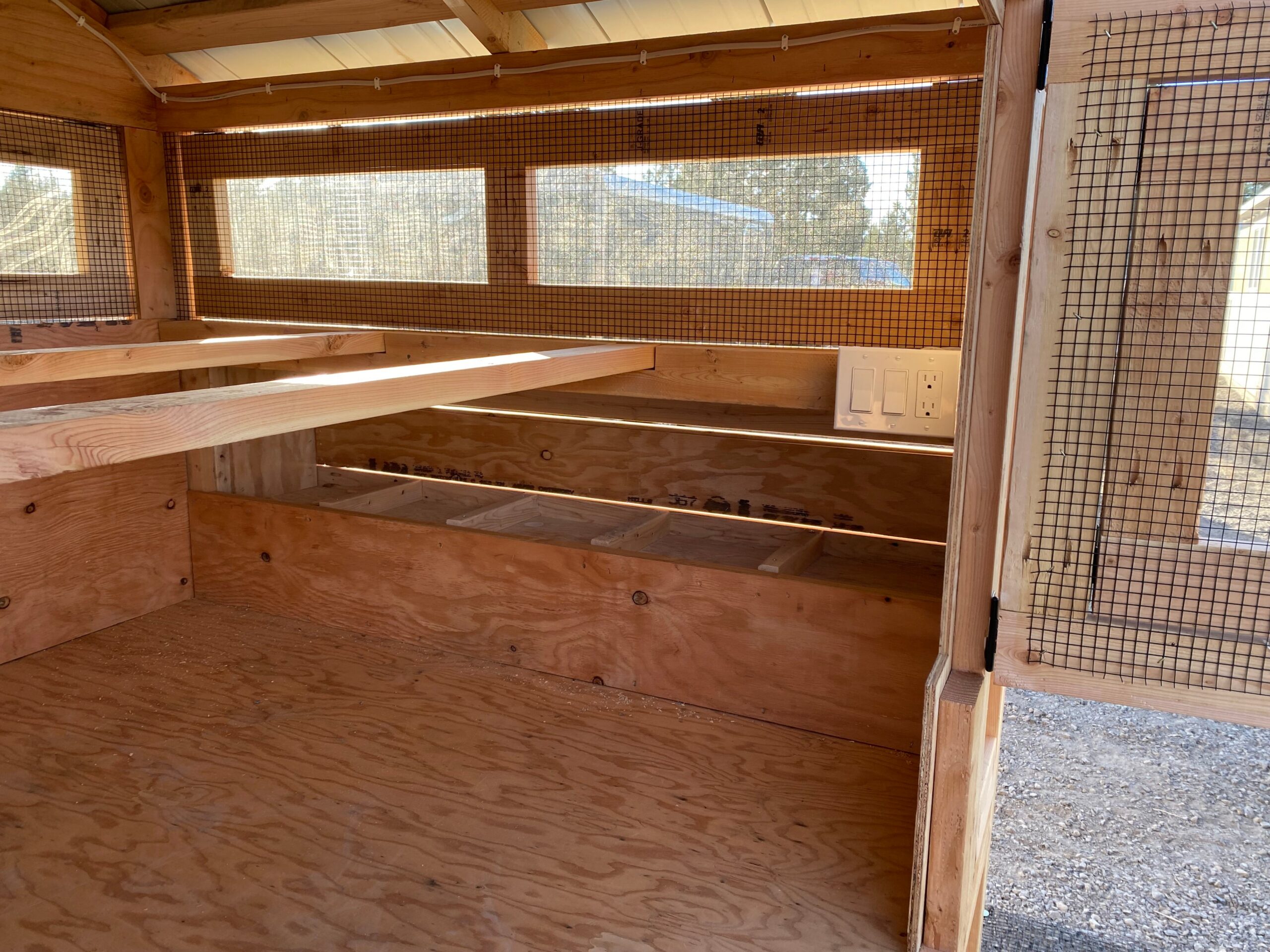 Large Walk-In Chicken Coop 8’ Wide – Premium Custom Built | Washington - Image 6