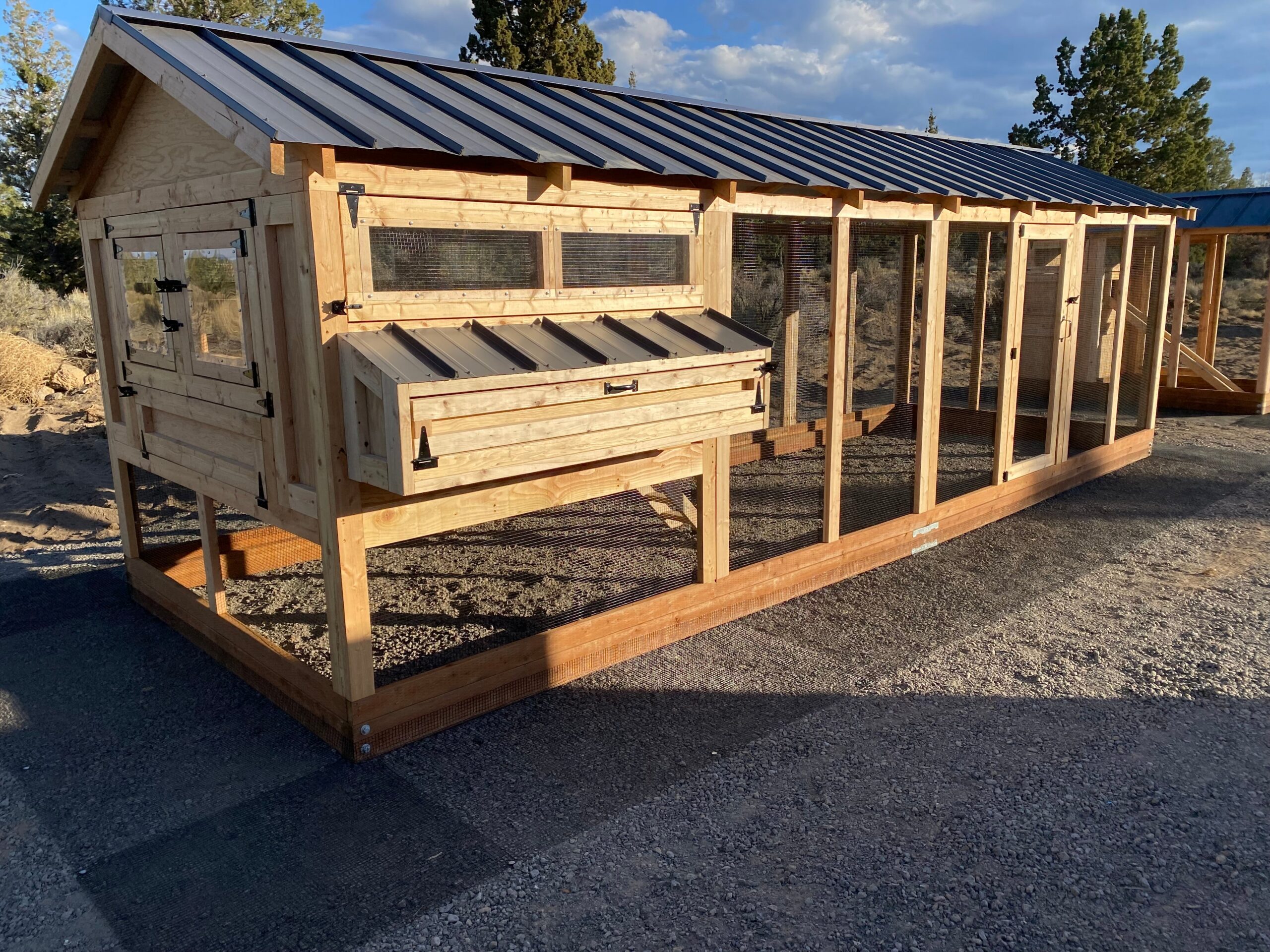 Large Walk-In Chicken Coop 8’ Wide – Premium Custom Built | Washington - Image 10