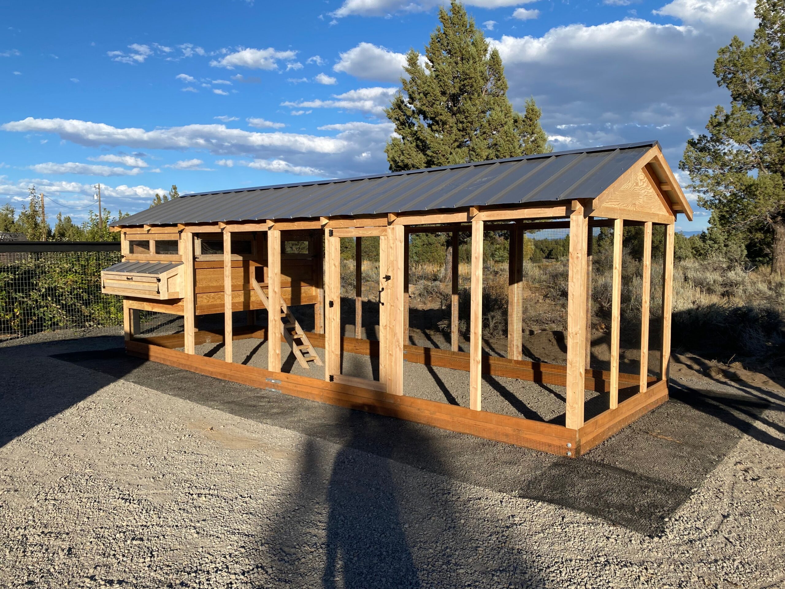 Large Walk-In Chicken Coop 8’ Wide – Premium Custom Built | Washington - Image 3