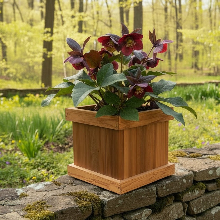 Planter Boxes - Image 2