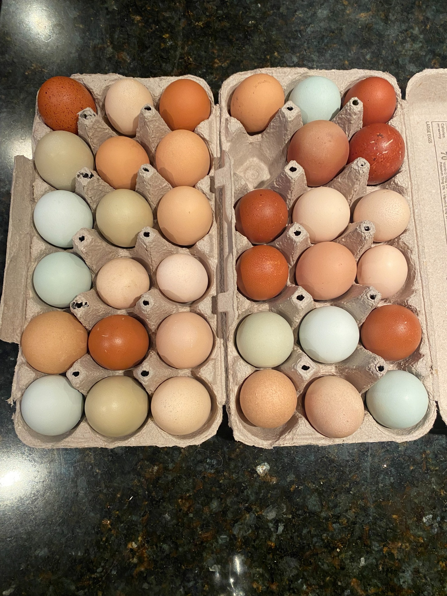 A carton of eggs in blue, green, cream, and brown shades