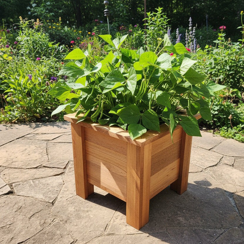 Raised Planter Boxes - Image 4