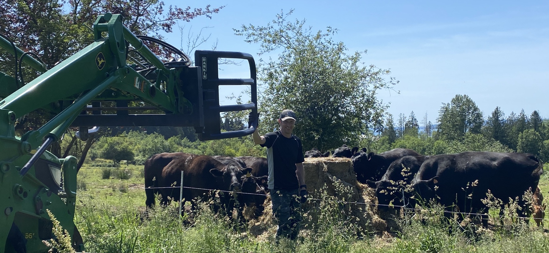 Standing beside the tractor while cattle gather around a round bale