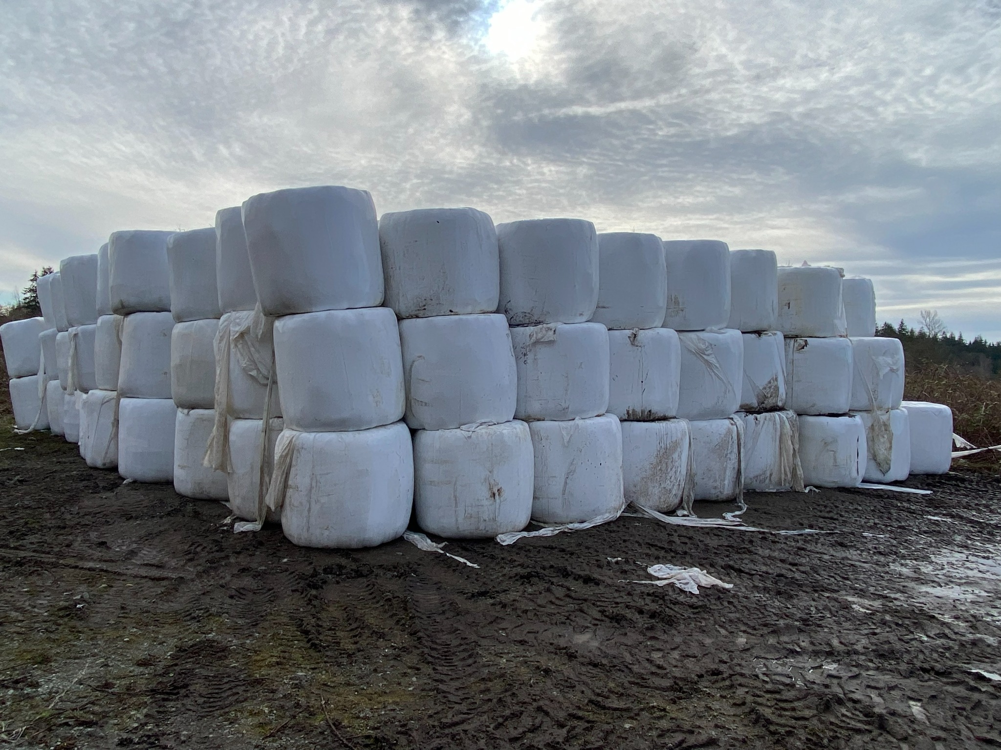 White-wrapped bales stacked three high outdoors